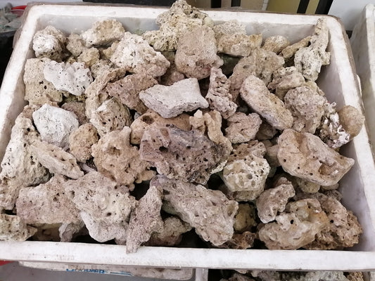 Dry reef rock